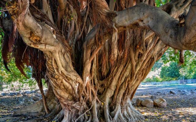 Welbedacht Game & Nature Reserve