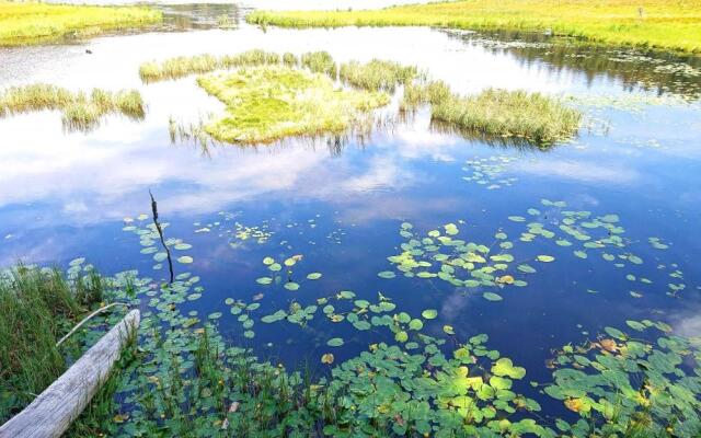 Arber Apartments - Zwieslerwaldhaus