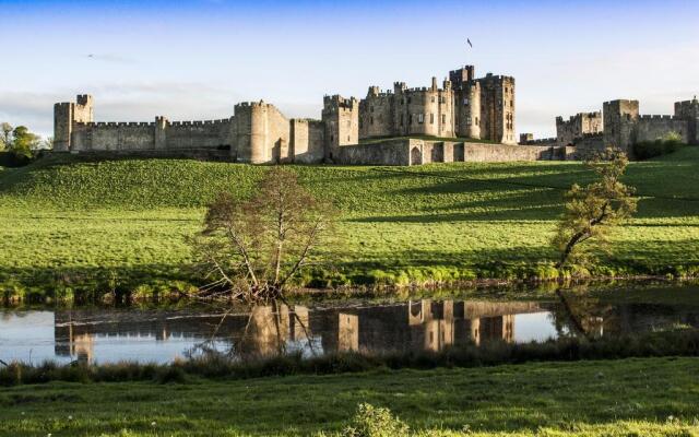 Percy Terrace Bed and Breakfast