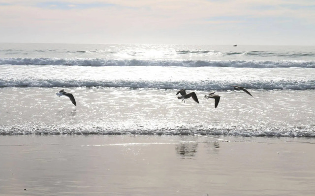 Lunja Village Taghazout