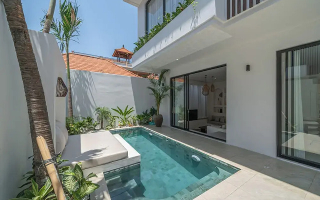 Nova Oasis 3