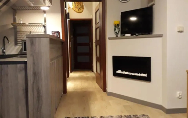 Apartament Leśna