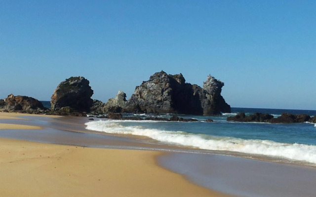 Bellbird Cottage B&B