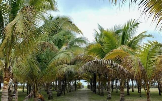 Cojimies Paradise