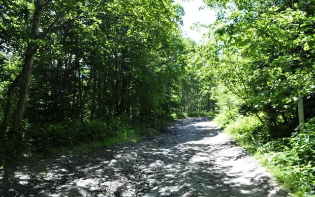 Cabana Cascada Cârnic