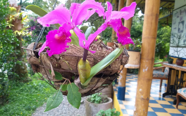 Finca Hotel El Barranco