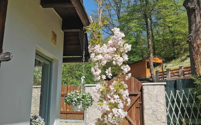 Sunny Wooden House on Creek, 30 Minutes Prague
