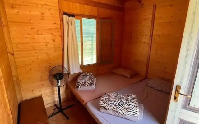 Social Camping JAL