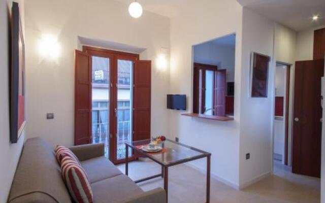 Luxury Apartments Seville Center