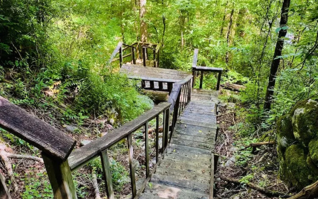 Riverview 1 Bedroom Cabin by RedAwning