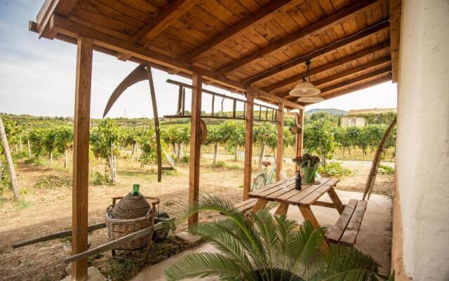 Un' Ottima Annata - La casa nel vigneto