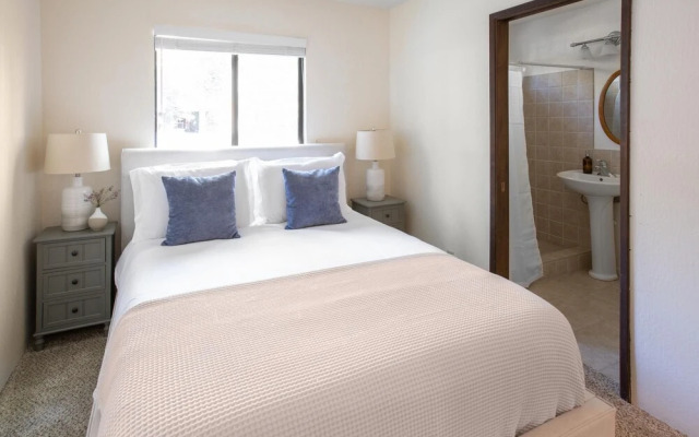 Sahara Drive- Polaris