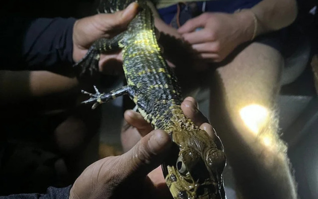 Pousada Cabana Nativa Paraíso