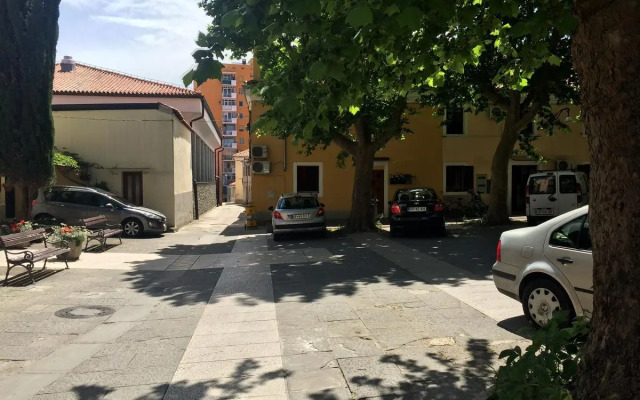 Apartments Vidic
