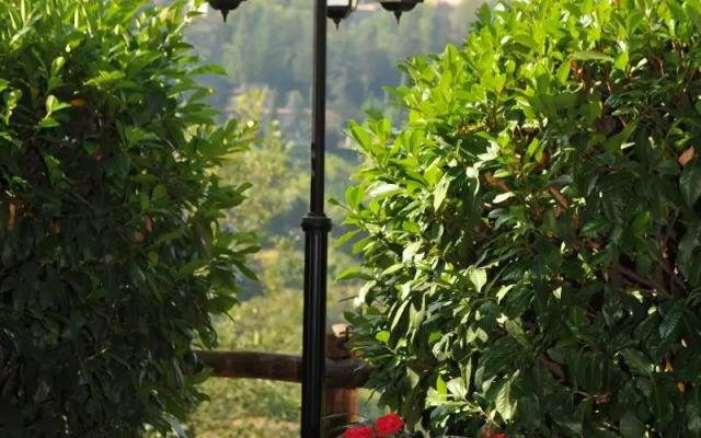 Hotel Restaurant La Torricella