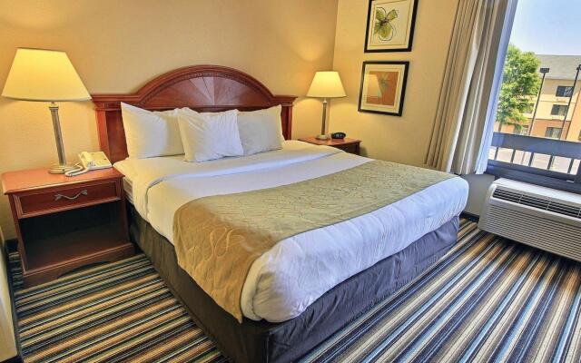 Comfort Suites Chesapeake - Norfolk