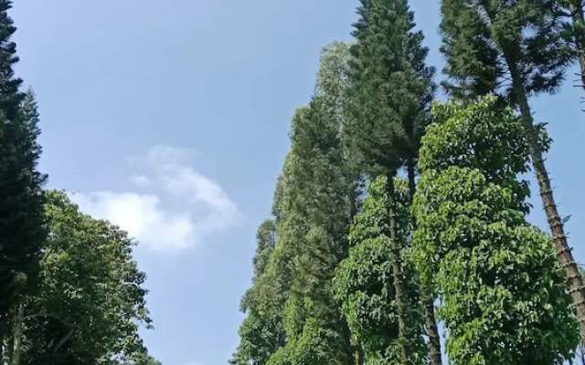 Snow Princess Mountain Glamping Resort at Clubbali, Lembang