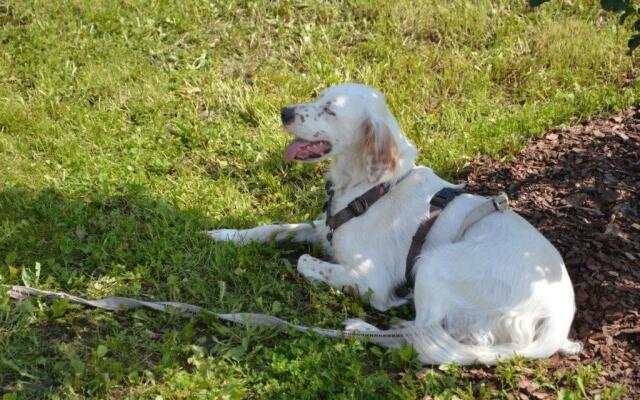 Ferienwohnung Im Schiller