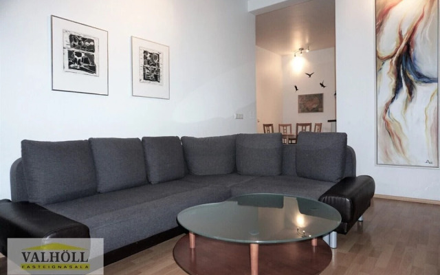 Reykjavik Center Condos