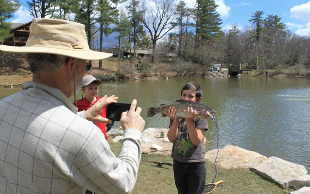 Mountainaire Inn and Log Cabins