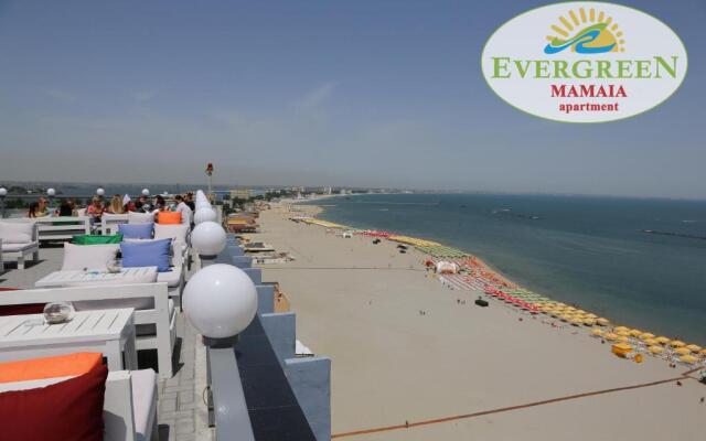 Evergreen Vlas Mamaia