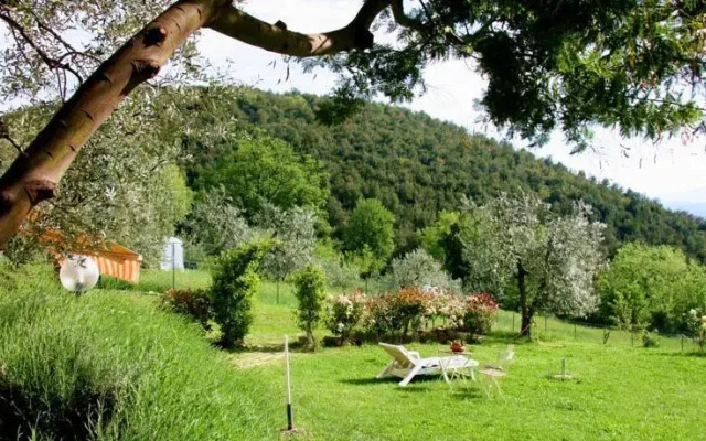 Bed And Breakfast Di Montenero