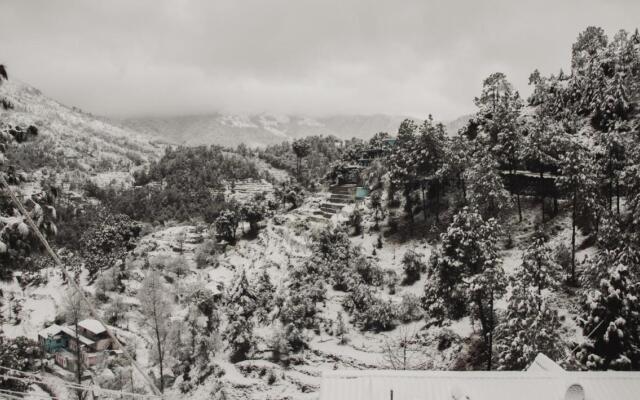The Himalayan Living Whistling Pines