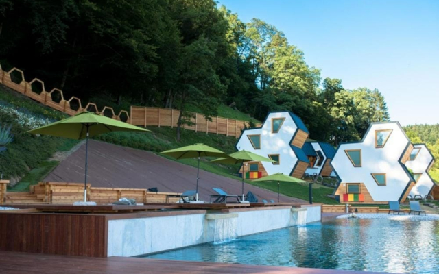 Wellness Suite Viola