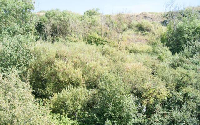 Studio les pieds dans l'eau