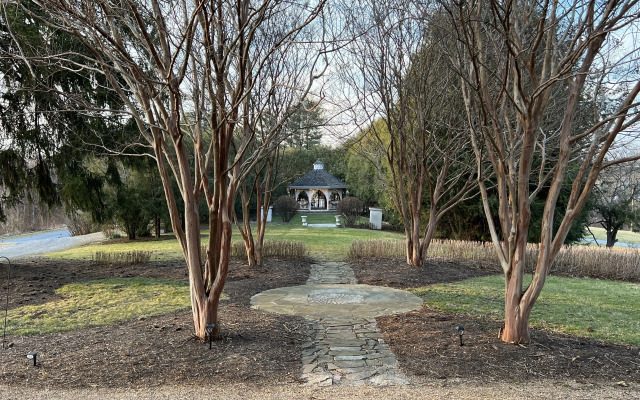 Nesselrod on the New