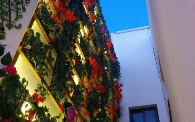 Lucero 12 Marbella Hostal Boutique