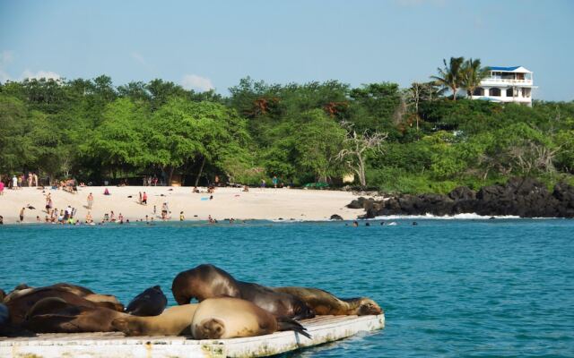 Casa Playa Mann