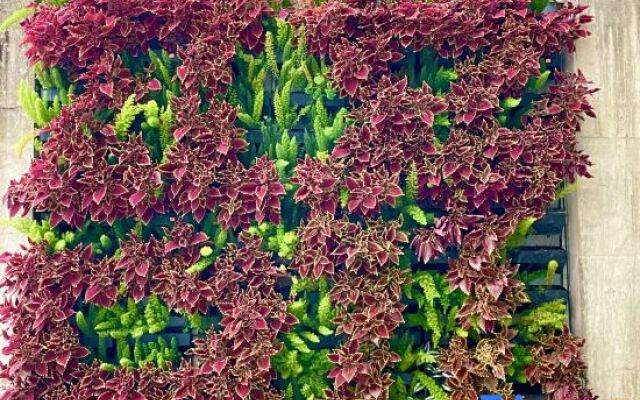 Mossflower Hotel (Zhuhai Jinwan Airport)