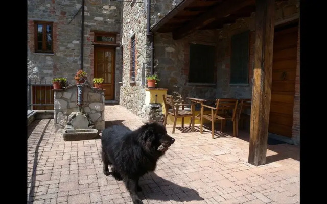 Agriturismo Il Pino