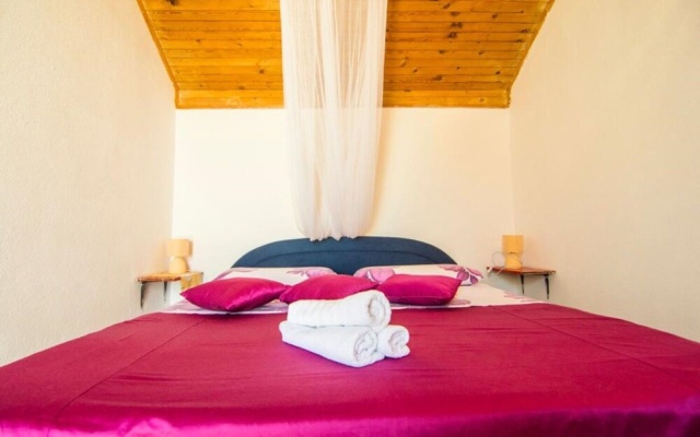 Apartment Ivo