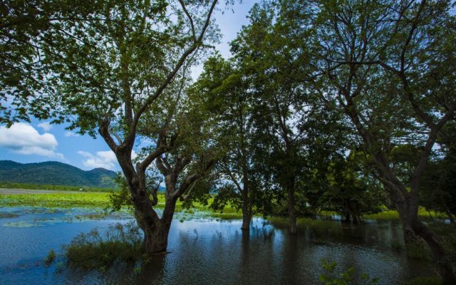 Grand Tamarind Lake