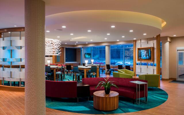 SpringHill Suites Wisconsin Dells