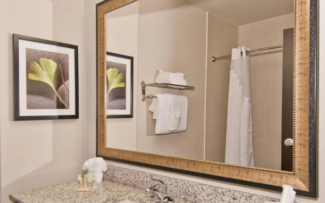 Holiday Inn Austin Airport by IHG