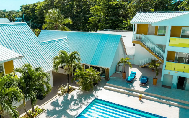 Caribbean Coral