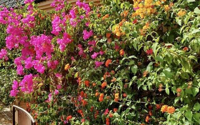Riad Zouhour