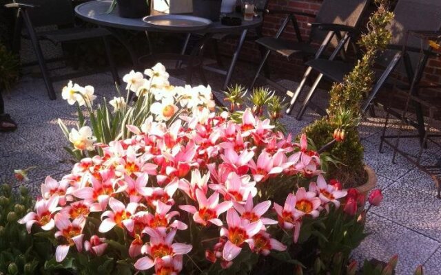 Pension de Driesprong