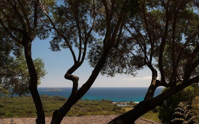 Chambres d'Hôtes Littariccia