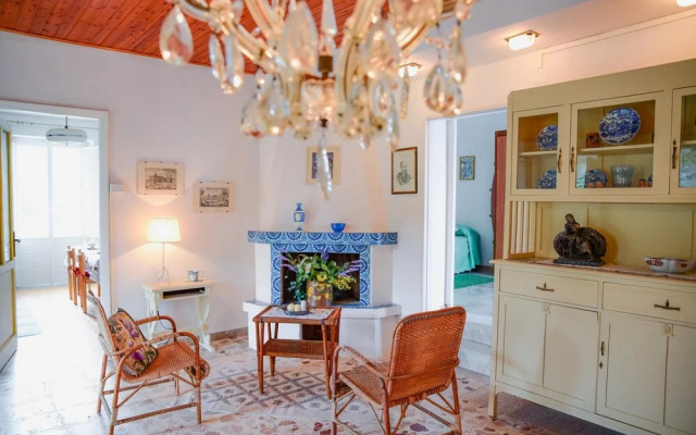 Easy Welcome Salvia - Cartolari County Apartments