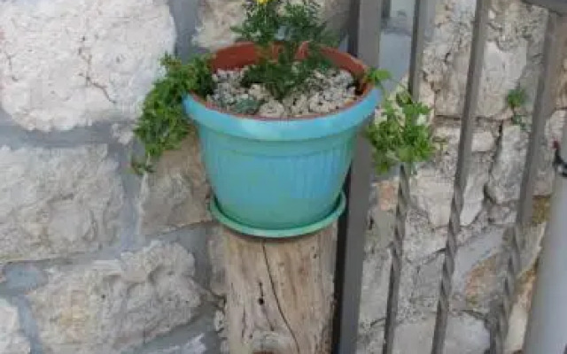 Apartments and Room Lemon