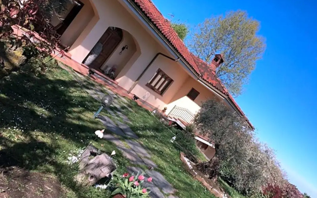 Il giardino degli ulivi