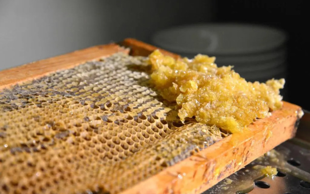 Rosslyn Central Park Hotel