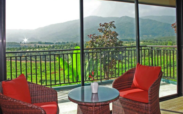 A - Star Phulare Valley, Chiang Rai