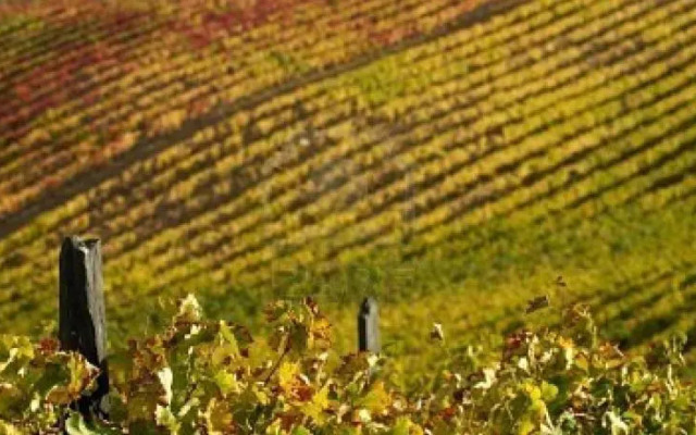 Il giardino di Giupi