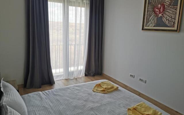 Apartament incantator Iasi Copou