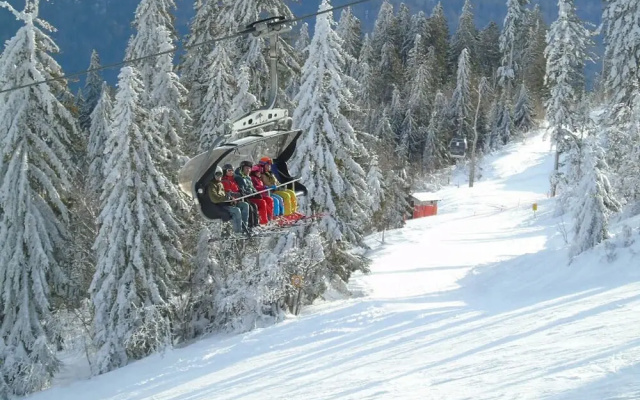 Pension Haus Waldesruh